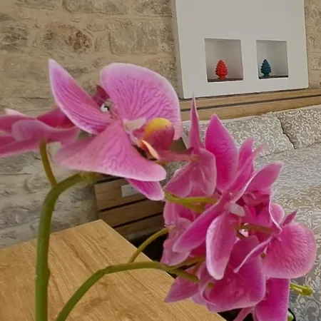 Cuore Barocco Bed & Breakfast 3*