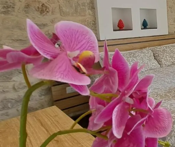 Cuore Barocco Panzió 3*